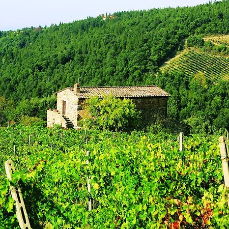Agriturismo Piemaggino 卡斯特利纳－因基安蒂 外观 照片