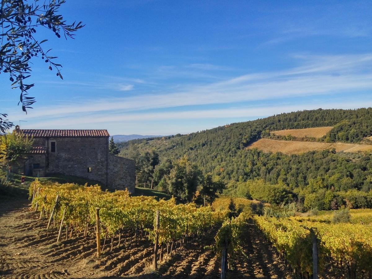 Agriturismo Piemaggino 卡斯特利纳－因基安蒂 外观 照片