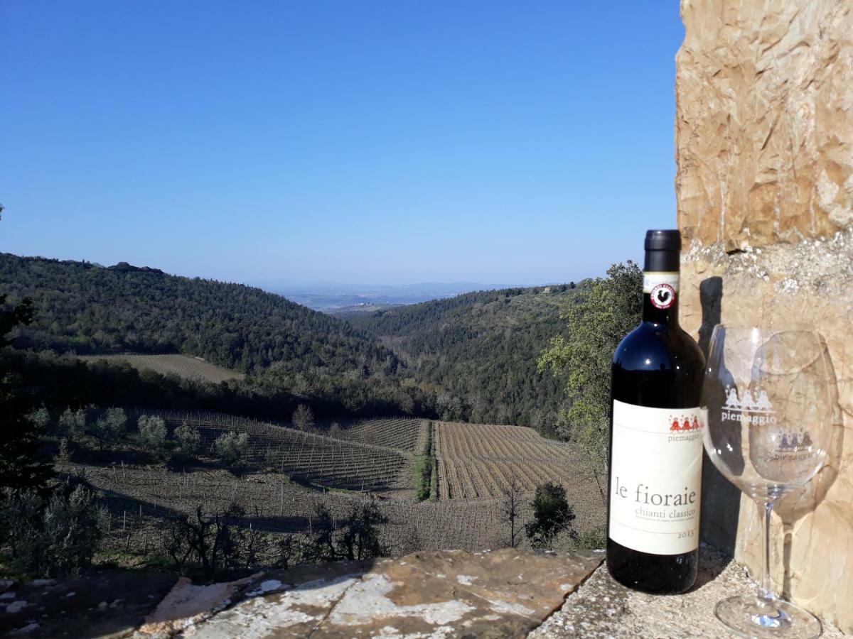 Agriturismo Piemaggino 卡斯特利纳－因基安蒂 外观 照片