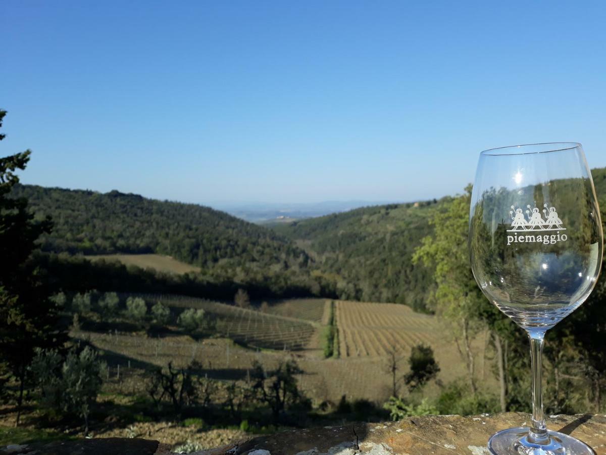 Agriturismo Piemaggino 卡斯特利纳－因基安蒂 外观 照片